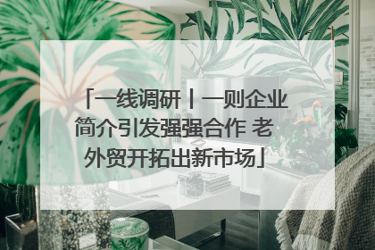 一线调研丨一则企业简介引发强强合作 老外贸开拓出新市场