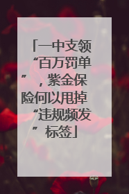 一中支领“百万罚单”，紫金保险何以甩掉“违规频发”标签