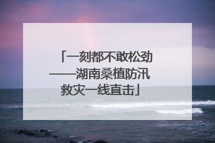 一刻都不敢松劲——湖南桑植防汛救灾一线直击
