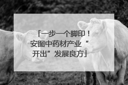 一步一个脚印！安图中药材产业“开出”发展良方