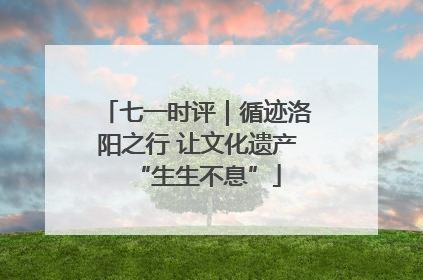 七一时评｜循迹洛阳之行 让文化遗产“生生不息”