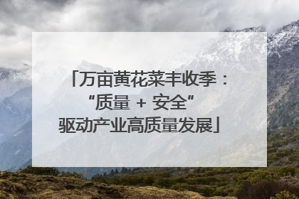 万亩黄花菜丰收季：“质量 + 安全” 驱动产业高质量发展