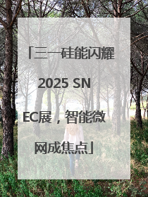 三一硅能闪耀2025 SNEC展，智能微网成焦点