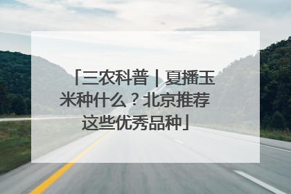 三农科普｜夏播玉米种什么？北京推荐这些优秀品种