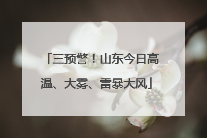 三预警！山东今日高温、大雾、雷暴大风