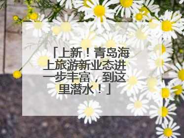 上新！青岛海上旅游新业态进一步丰富，到这里潜水！