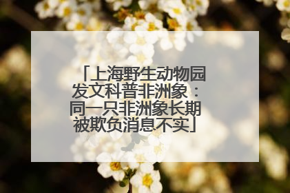 上海野生动物园发文科普非洲象：同一只非洲象长期被欺负消息不实