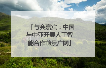 与会嘉宾：中国与中亚开展人工智能合作前景广阔