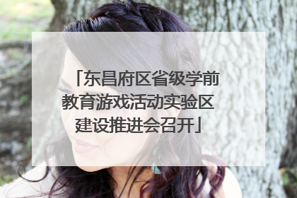东昌府区省级学前教育游戏活动实验区建设推进会召开