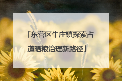 东营区牛庄镇探索占道晒粮治理新路径