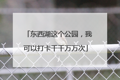 东西湖这个公园，我可以打卡千千万万次