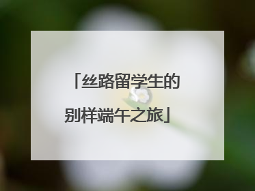 丝路留学生的别样端午之旅