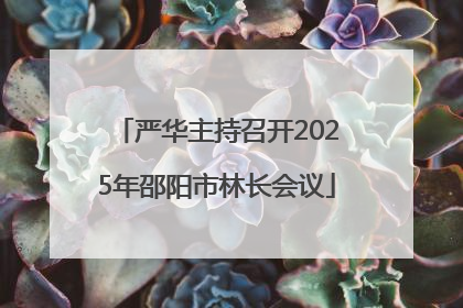 严华主持召开2025年邵阳市林长会议