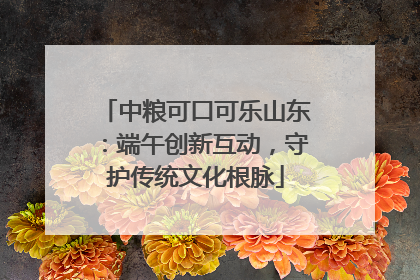 中粮可口可乐山东：端午创新互动，守护传统文化根脉