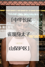 中华长尾雀现身太子山保护区