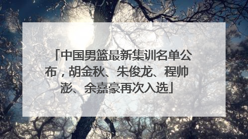 中国男篮最新集训名单公布，胡金秋、朱俊龙、程帅澎、余嘉豪再次入选