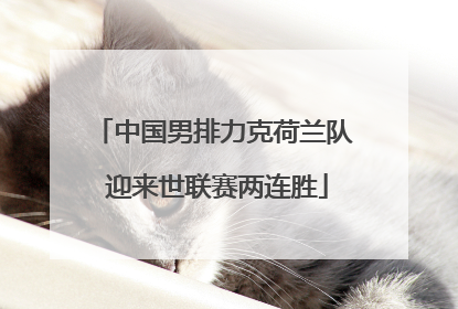 中国男排力克荷兰队 迎来世联赛两连胜