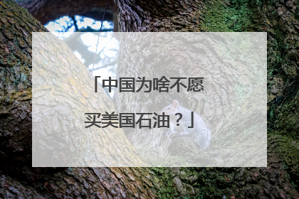 中国为啥不愿买美国石油？