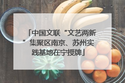 中国文联“文艺两新”集聚区南京、苏州实践基地在宁授牌