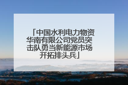 中国水利电力物资华南有限公司党员突击队勇当新能源市场开拓排头兵