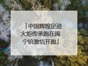 中国辉煌足迹火炬传承跑在闽宁镇激情开跑