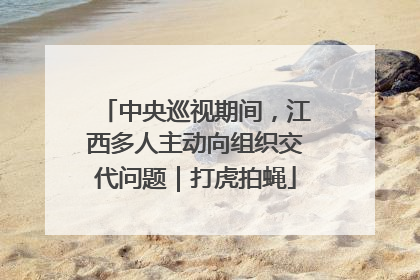 中央巡视期间，江西多人主动向组织交代问题｜打虎拍蝇
