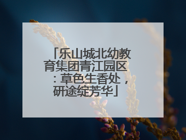 乐山城北幼教育集团青江园区：草色生香处，研途绽芳华