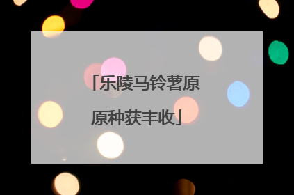 乐陵马铃薯原原种获丰收