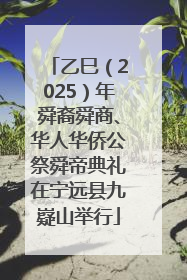 乙巳（2025）年舜裔舜商、华人华侨公祭舜帝典礼在宁远县九嶷山举行