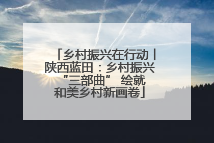 乡村振兴在行动丨陕西蓝田：乡村振兴 “三部曲” 绘就和美乡村新画卷