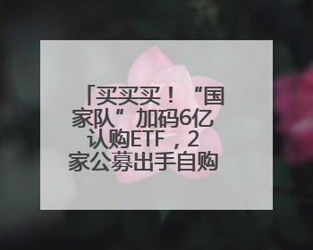 买买买！“国家队”加码6亿认购ETF，2家公募出手自购旗下新基千万