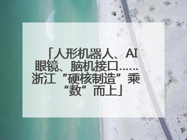 人形机器人、AI眼镜、脑机接口……浙江“硬核制造”乘“数”而上