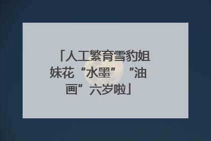 人工繁育雪豹姐妹花“水墨”“油画”六岁啦