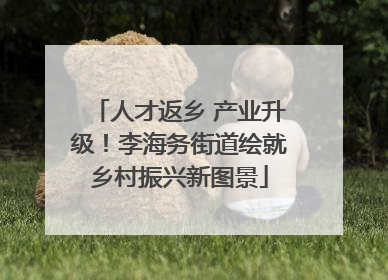 人才返乡 产业升级！李海务街道绘就乡村振兴新图景