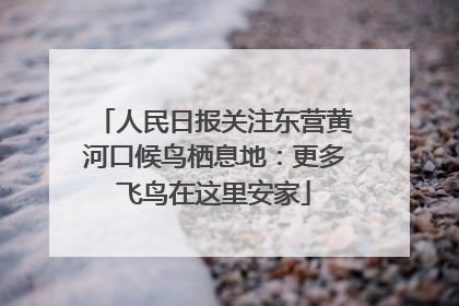 人民日报关注东营黄河口候鸟栖息地：更多飞鸟在这里安家