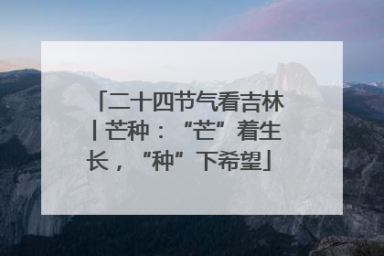二十四节气看吉林丨芒种：“芒”着生长，“种”下希望