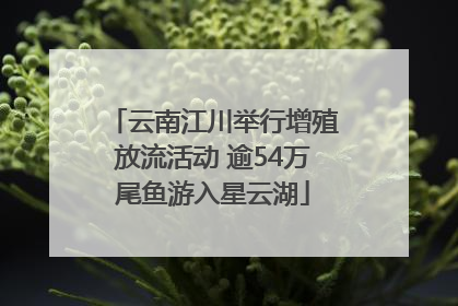 云南江川举行增殖放流活动 逾54万尾鱼游入星云湖