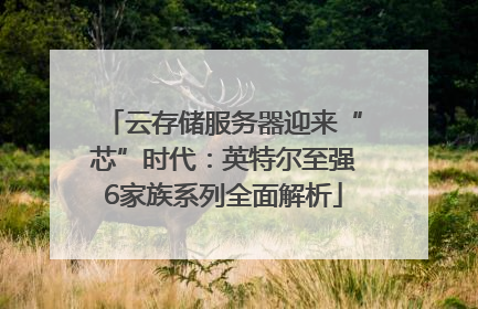 云存储服务器迎来“芯”时代：英特尔至强6家族系列全面解析