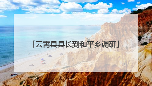 云霄县县长到和平乡调研