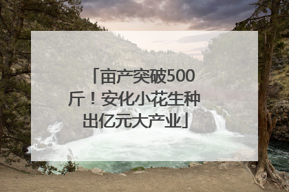 亩产突破500斤！安化小花生种出亿元大产业