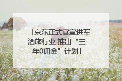 京东正式官宣进军酒旅行业 推出“三年0佣金”计划