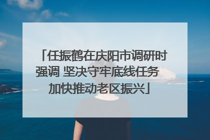 任振鹤在庆阳市调研时强调 坚决守牢底线任务 加快推动老区振兴