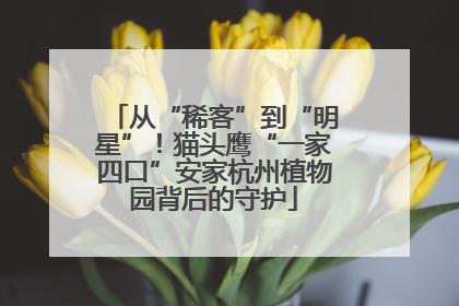 从“稀客”到“明星”！猫头鹰“一家四口”安家杭州植物园背后的守护