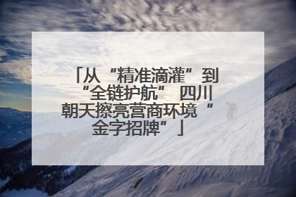 从“精准滴灌”到“全链护航” 四川朝天擦亮营商环境“金字招牌”