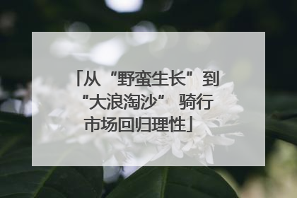 从“野蛮生长”到“大浪淘沙” 骑行市场回归理性