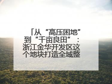 从“高压困地”到“千亩良田”：浙江金华开发区这个地块打造全域整治示范样本