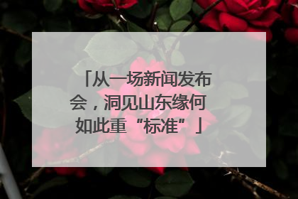 从一场新闻发布会，洞见山东缘何如此重“标准”