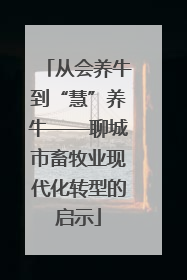 从会养牛到“慧”养牛——聊城市畜牧业现代化转型的启示