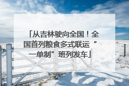 从吉林驶向全国！全国首列粮食多式联运“一单制”班列发车