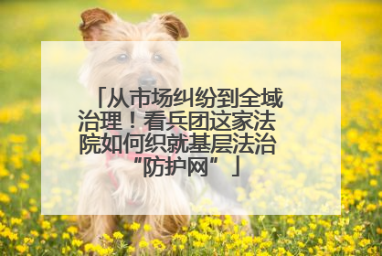 从市场纠纷到全域治理！看兵团这家法院如何织就基层法治 “防护网”